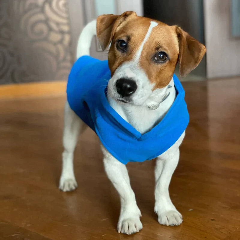 Roupinha para cães - WR MACIEL